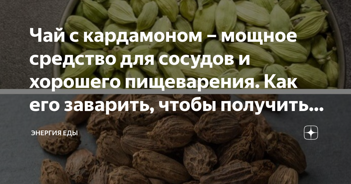 Комнатная карьера ароматного кардамона настоящего. элеттария кардамомум. уход в домашних условиях. фото