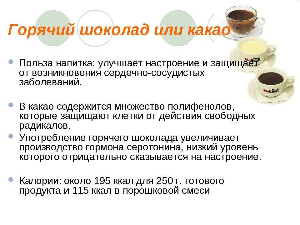 Почему женщинам после 40 лет желательно регулярно пить какао — mojakuhnja.ru