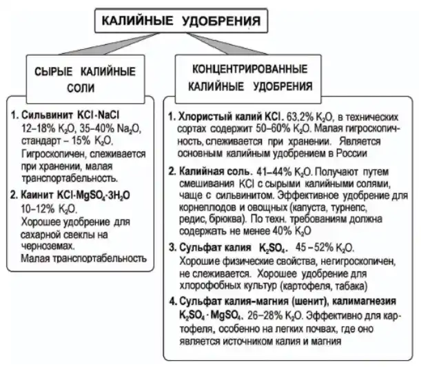 Какие удобрения относятся к калийно-фосфорным: названия и применение осенью