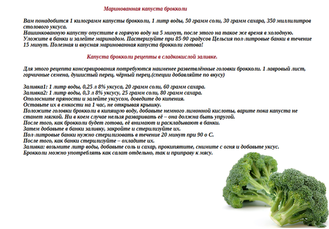 Брокколи — рецепты приготовления капусты в домашних условиях