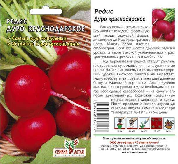 Редис дуро: характеристика, описание сорта, фото, посадка и уход | qlumba.com