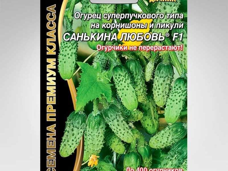 Огурец санькина любовь: описание сорта, фото, отзывы, плюсы и минусы. сорт огурцов санькина любовь f1: характеристики, секреты выращивания