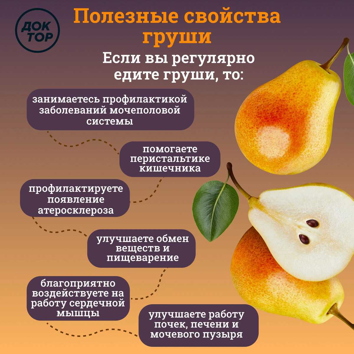 Груша – полезные свойства, состав и противопоказания