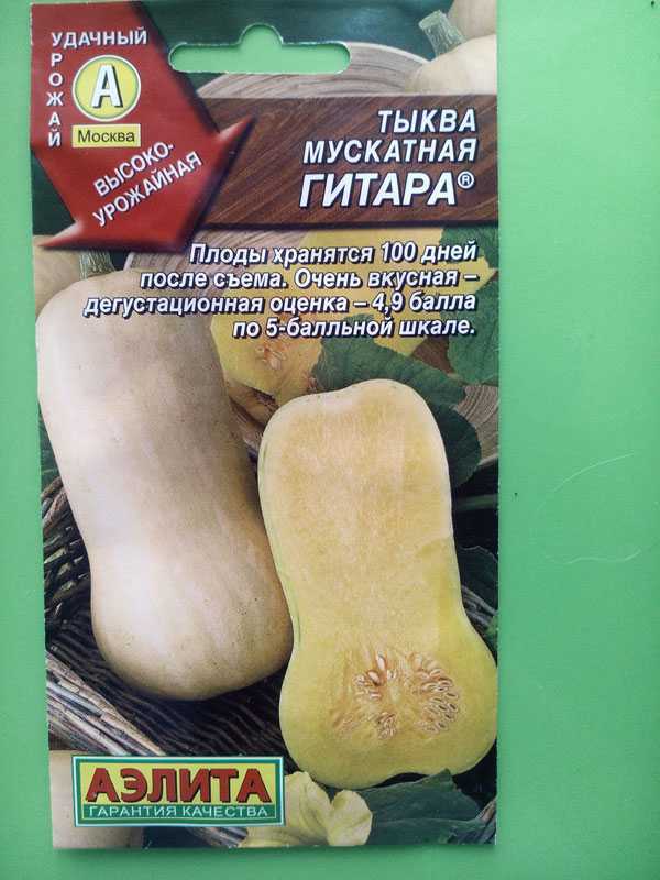Тыква мускатная жемчужина: описание сорта и характеристика