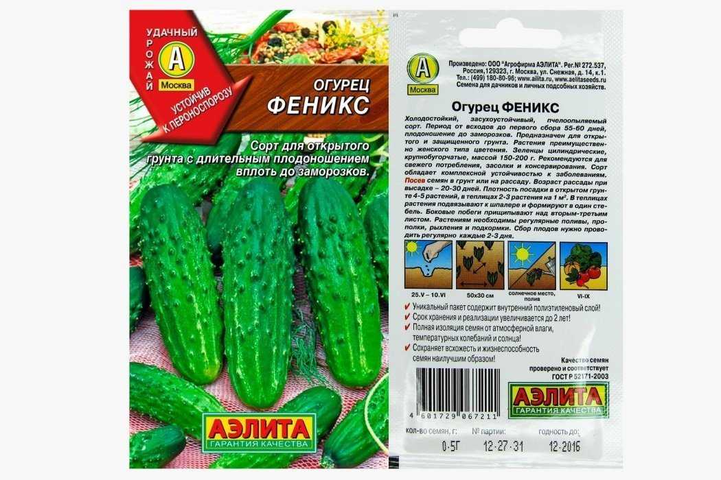 Огурцы амур f1: описание, отзывы, характеристика сорта, фото