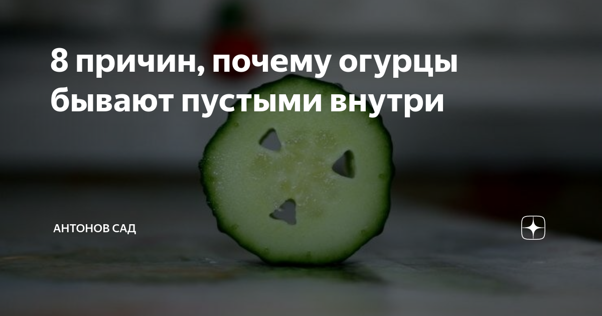 Огурцы внутри пустые или 5 причин пустотелых