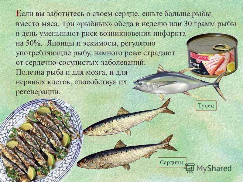 Полезные свойства горбуши: состав, калорийность и влияние на организм (115 фото)
