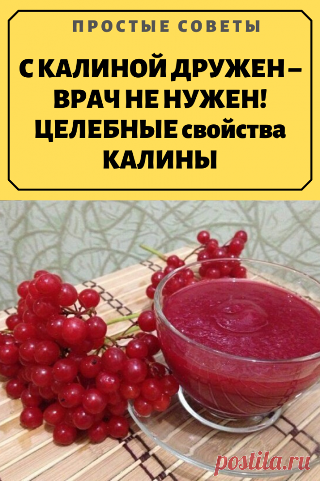 Лучшие рецепты приготовления калины с медом на зиму | parnas42.ru