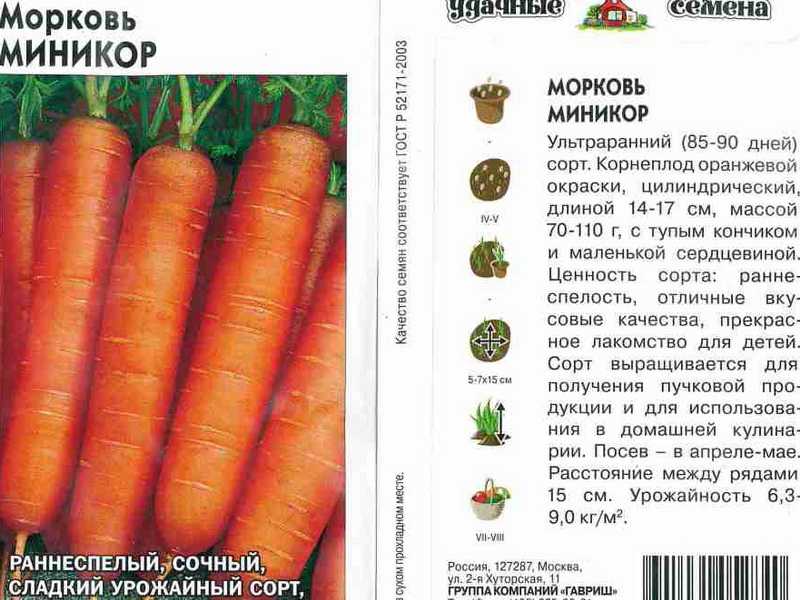 Самые лучшие сорта моркови – как выбрать тот, который вам нужен