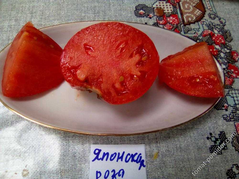 Томат японская роза: характеристика и описание селекционного сорта с фото