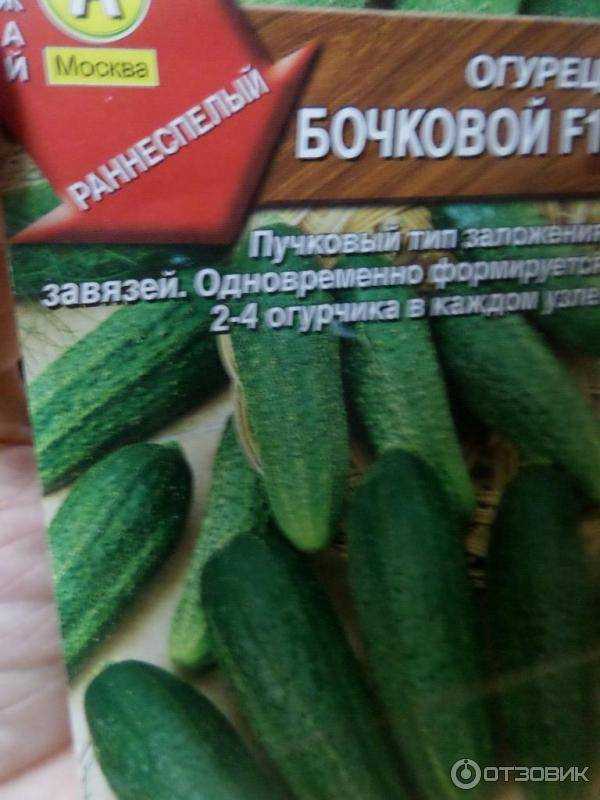 Покоривший сердца огородников во всем снг — огурец каскад: описание сорта, отзывы о выращивании