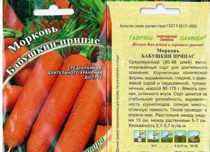 Морковь нииох 336 как сажать