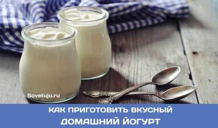 Домашний йогурт из молока и закваски