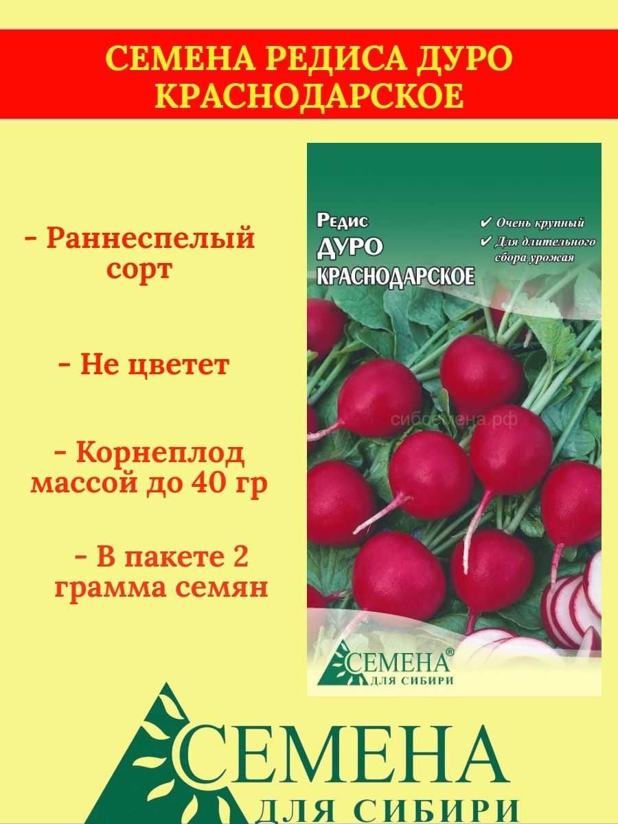 Лучший сорт редиса, топ-10 рейтинг хорошего редиса