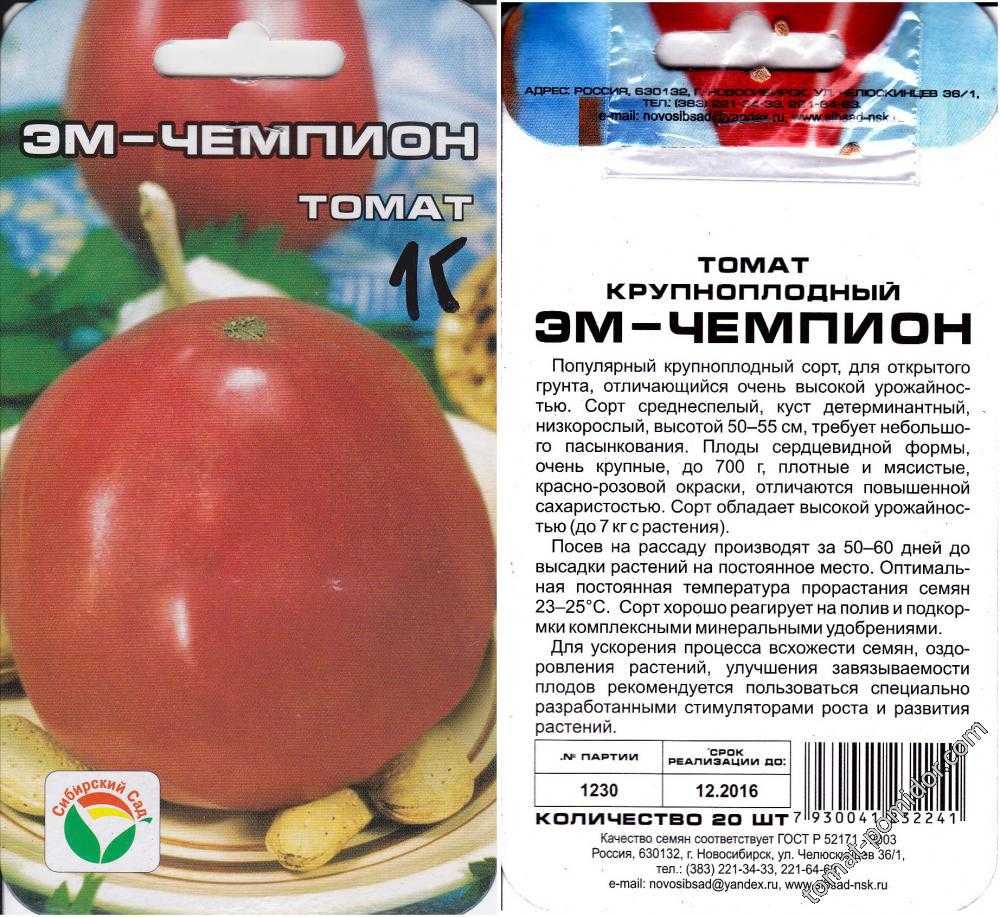 Томат эм чемпион: характеристика, описание сорта, отзывы, фото, урожайность