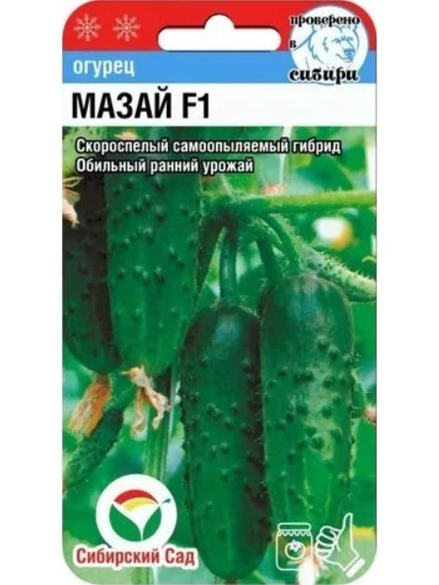 Огурец мазай, генеральский, зена, кс 90, рмт, таганай и другие