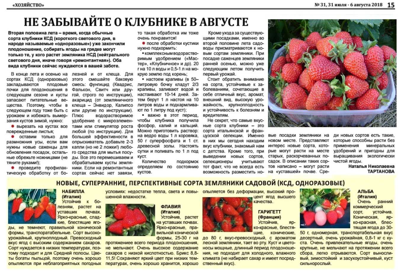 Чтобы клубника или земляника садовая порадовала в следующем году обильным урожаем нам надо летом после окончания плодоношения её подкормить органическими или минеральными удобрениями