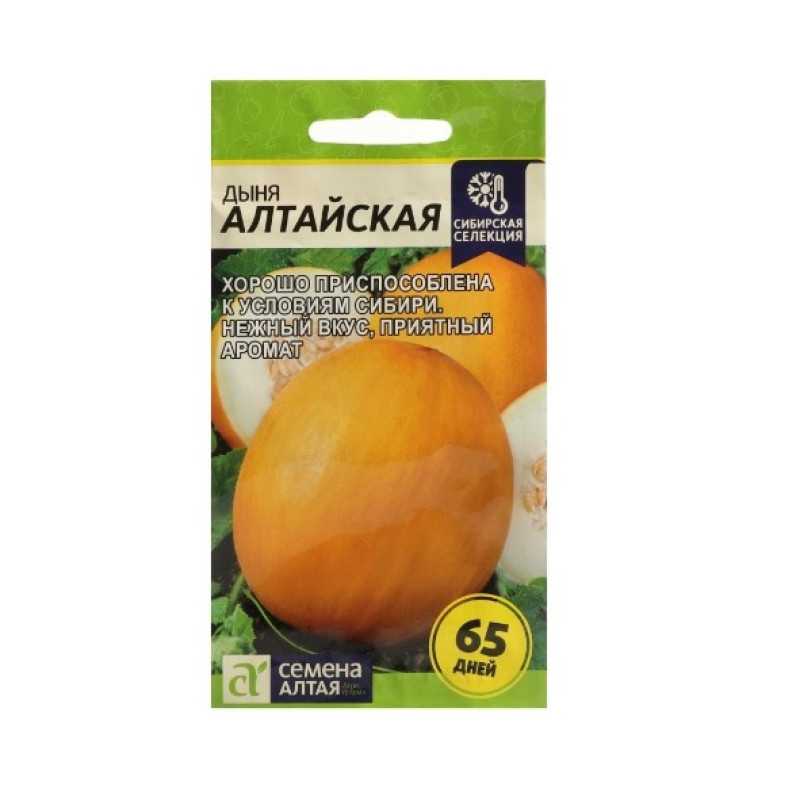 Дыня алтайская: особенности сорта и выращивание