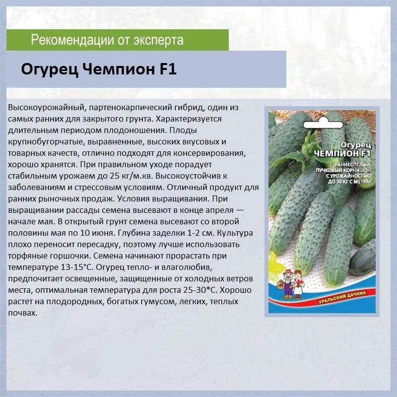 Лучшие сорта огурцов на 2021 год: самые урожайные, вкусные, для теплицы и открытого грунта - огород-365